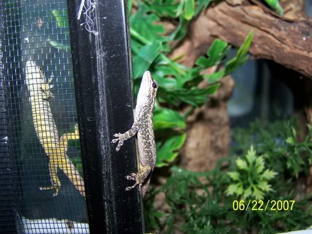 000_0678.jpg