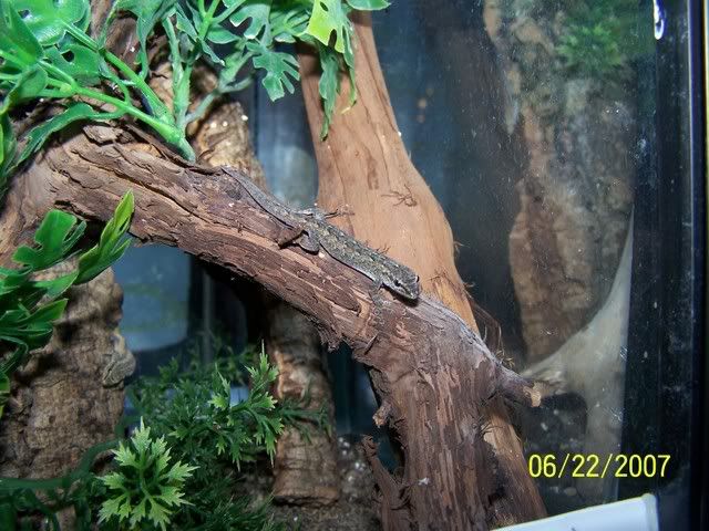 000_0681.jpg