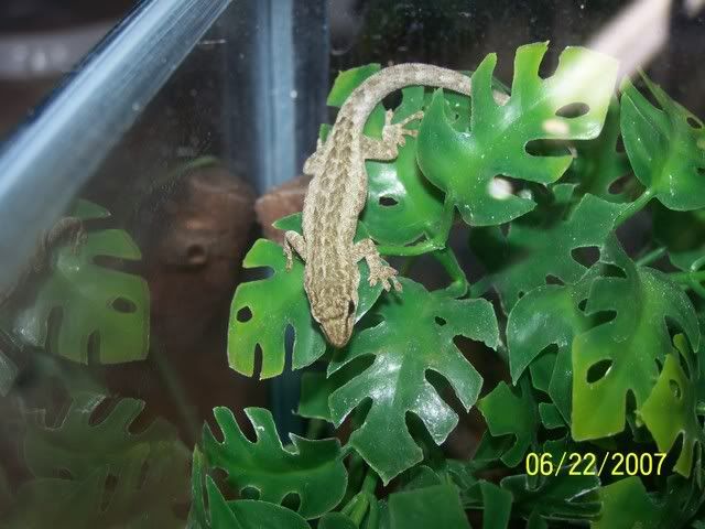 000_0694.jpg