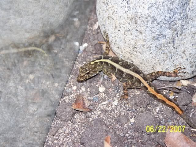 000_0705.jpg