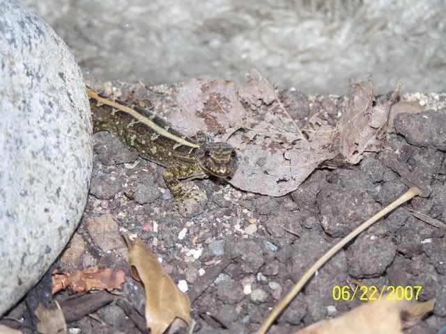 000_0708.jpg