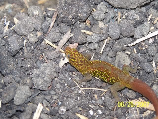 000_0720.jpg