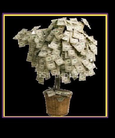 MONEY TREE