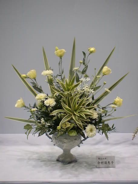 DSC00980.jpg 17 image by perfumeriver