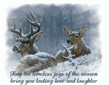 Christmas11_zps90fb5275.gif