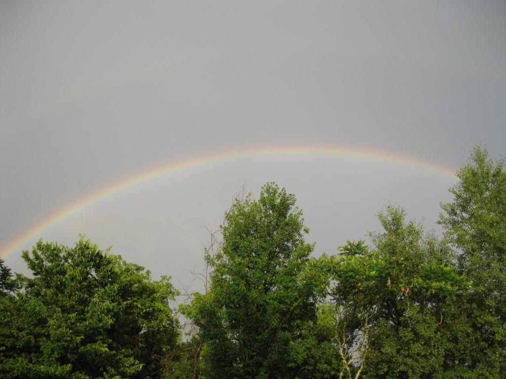 Rainbow_2.jpg