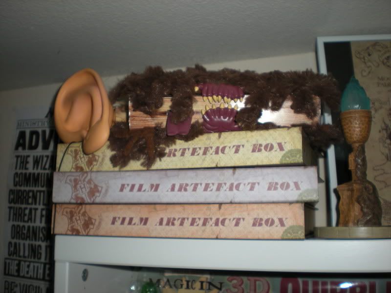 DSCN1467.jpg
