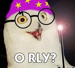 potter_o_rly_owl1.jpg