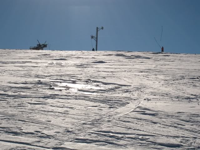 IMG_0482.jpg