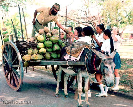 leh we take ah walk down memory lane trinidad and tobago archive leh we take ah walk down memory lane trinidad and tobago archive trinidad tobago online community