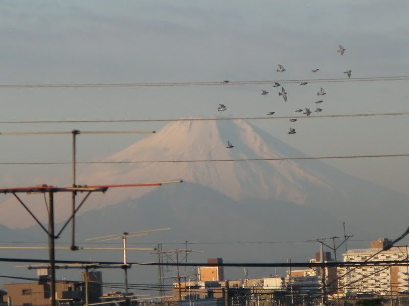 Begitu buka pintu apartemen yang terlihat gunung Fuji seperti ini.... Today will be cold