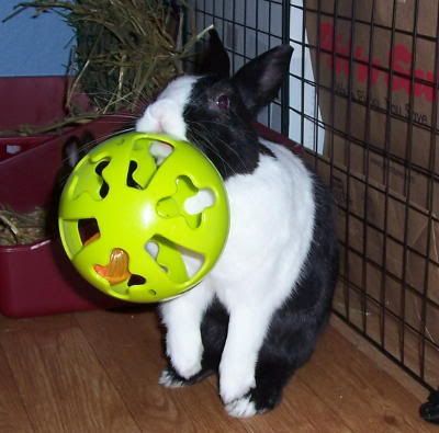 butterfinger make a how mocha registry_dropdown_1526_243368 to