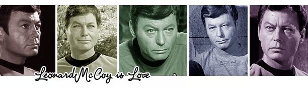 TOS!Bones Love