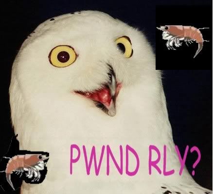 pwnt.jpg