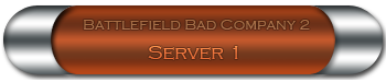 server Info