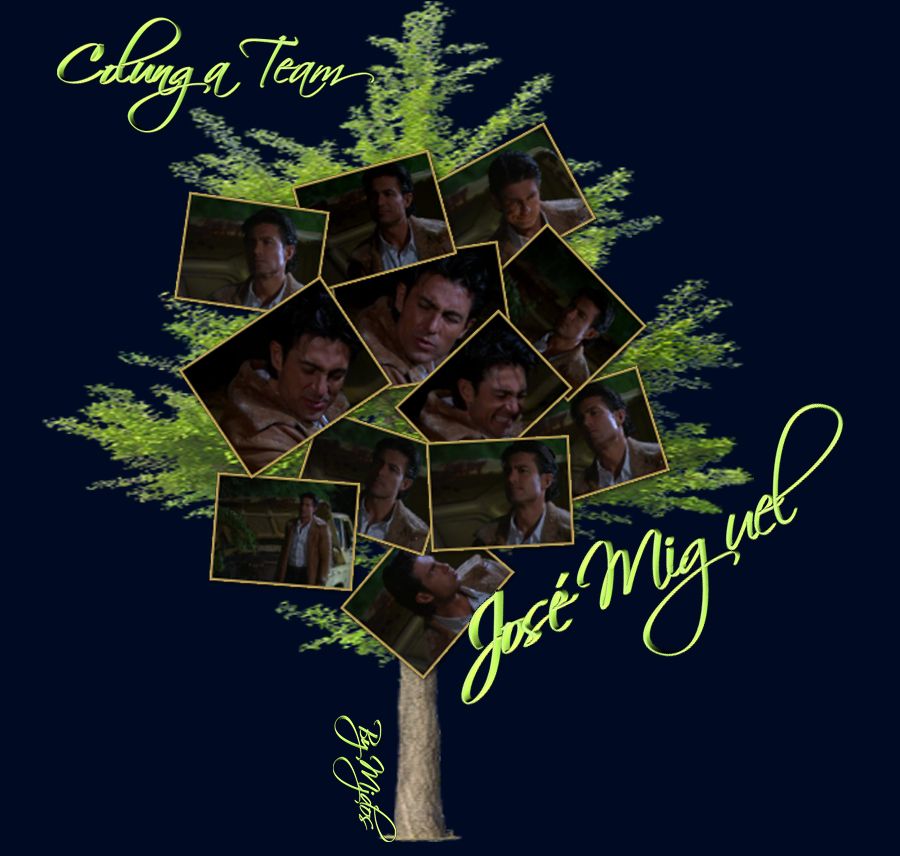 josemiguelarbol