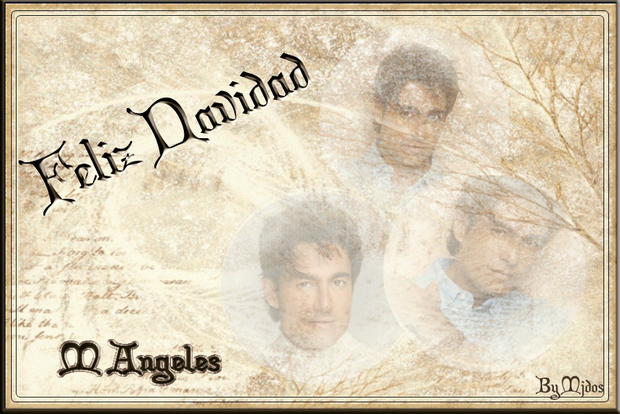 mangelesfeliznavidadfermqwmjdos.gif M.Angeles