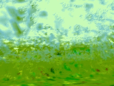 Felicidades paqueteManuel