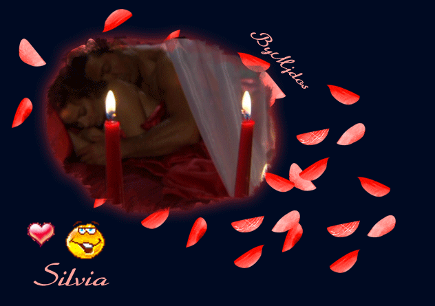 silviaeduferbed.gif Silvia