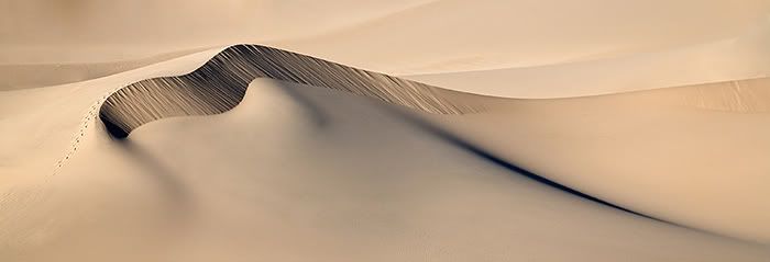 Dune.jpg