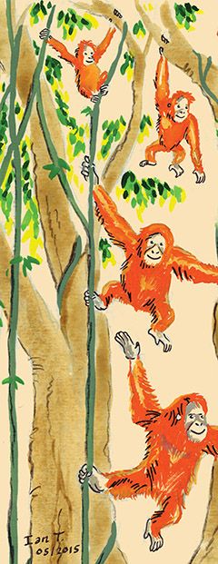 photo Orangs_edit1_Ian-T.jpg