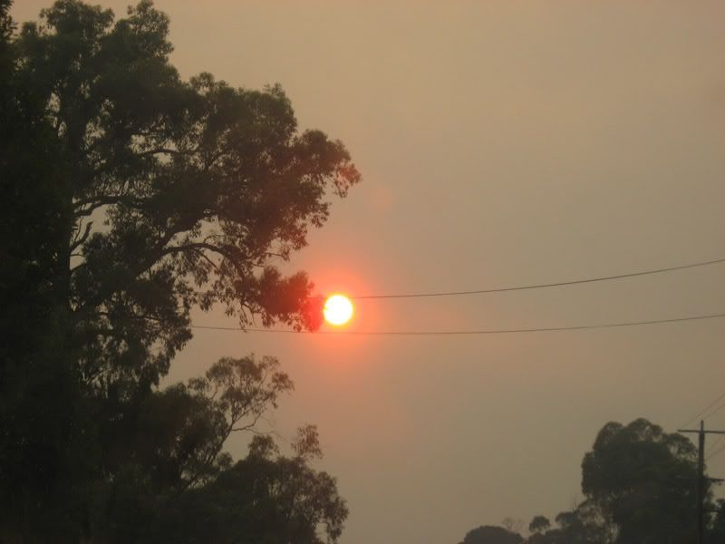 Sun on the road to Lilydale 14th February 2009 by Ian T