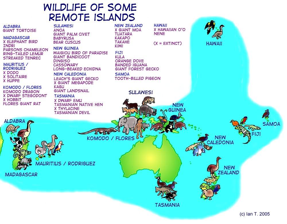 What is geographic isolation?