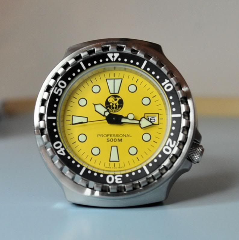 no date diver watch