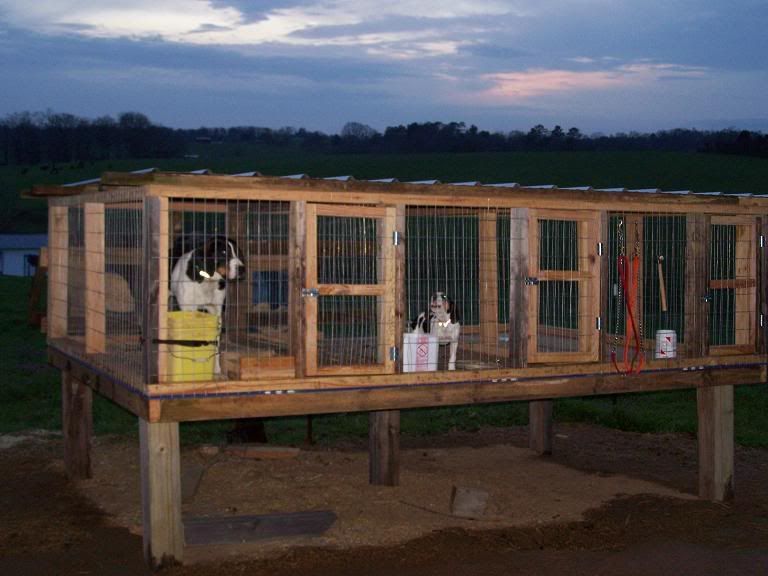 UKC Forums would like to see pics of kennels..