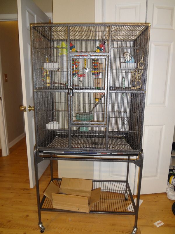 Update to Need lovebird cage ideas. Talk Budgies Forums