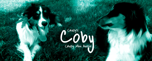 Cobybanner.png