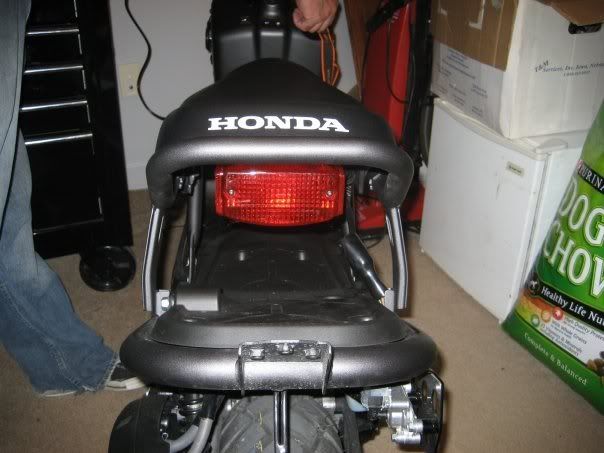 Honda ruckus total cost #5