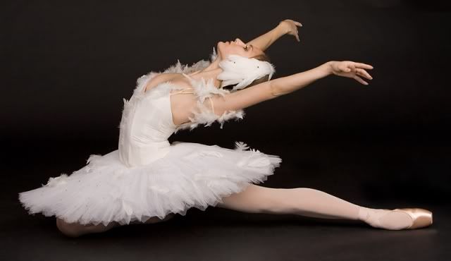 Image hotlink - 'http://i15.photobucket.com/albums/a376/smileywoman/DanceEffects/YShipulinaFlrWallpaper1024x768.jpg' Image hotlink - 'http://i15.photobucket.com/albums/a376/smileywoman/DanceEffects/YShipulinaFlrWallpaper1024x768.jpg'