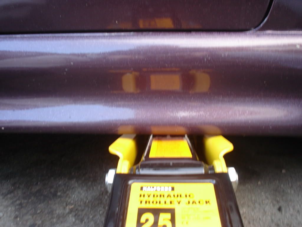 DSC02142.jpg