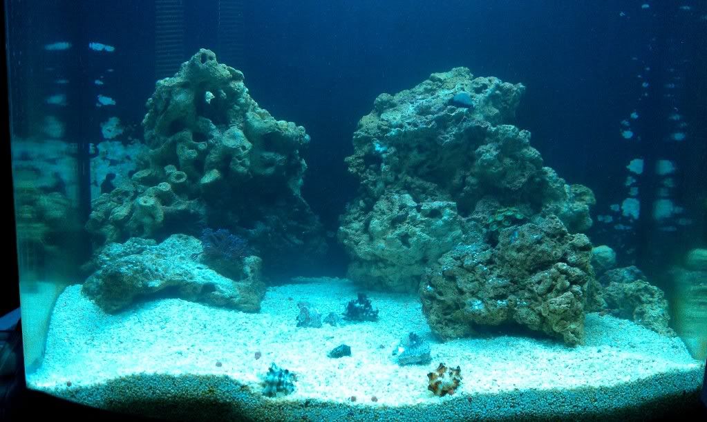 IMAG0115-1.jpg