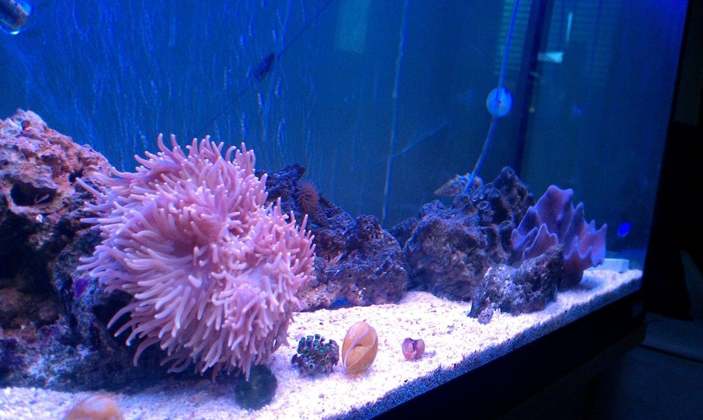 IMAG0260.jpg