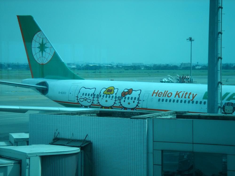 ReturnTripGoodbyes078.jpg I was hellbent on getting something Hello Kitty while I was in Taiwan (I thought Hello Kitty was from Taiwan) but this was pretty much the only thing I couls find, so I HAD to get a picture. :P image by BlueandKim