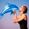Hayden- Dolphin 2