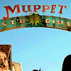 The Muppets- Studios photo Studios2_zps9e1fc233.png