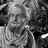 Gilligan's Island- Wrongway 3 photo WrongwayFeldman2_zps1558eeb9.png