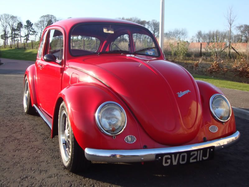 '72 Cal Look Beetle