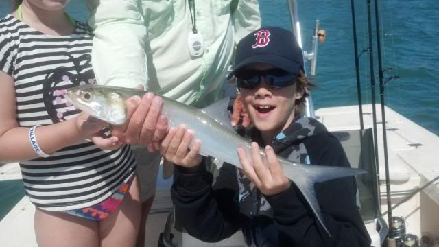 Lucien playing with ladyfish! photo Lucien_zps905f6ab9.jpg