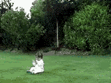 http://i15.photobucket.com/albums/a378/onicrom/Funny%20Cool%20And%20Weird%20Stuff/BabyKick.gif