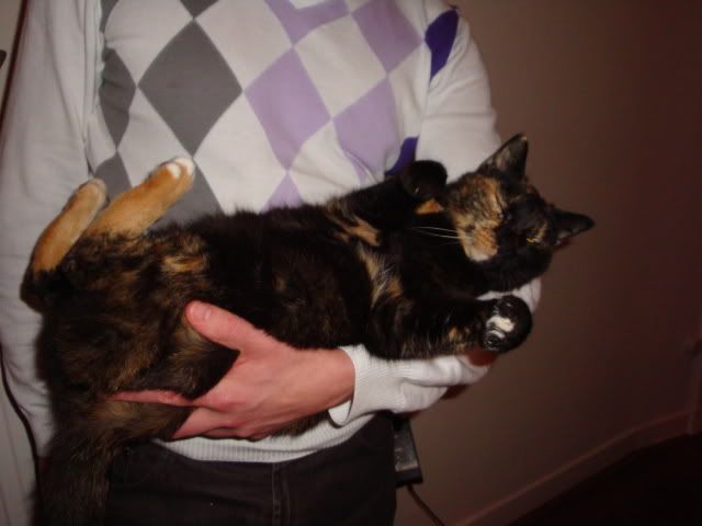 DSC02339.jpg
