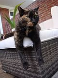 th_DSC01428.jpg