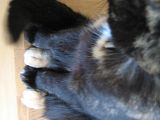 th_IMG_3636.jpg