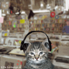 Phase 1 photo image_zps8e48761b.gif