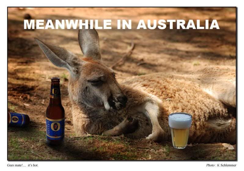 KangaroowithBeerLoRes.jpg Photo by go_knights Photobucket