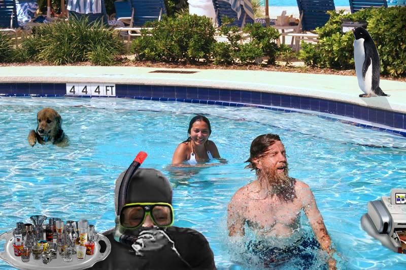 IMAGE: http://i15.photobucket.com/albums/a380/whalley_uk/Pool-Party.jpg