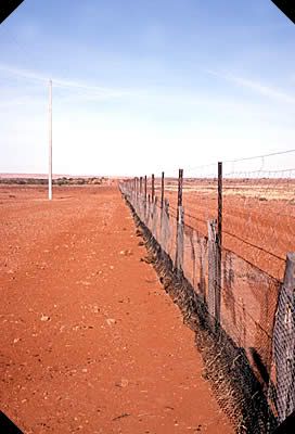 australiandingofence.jpg